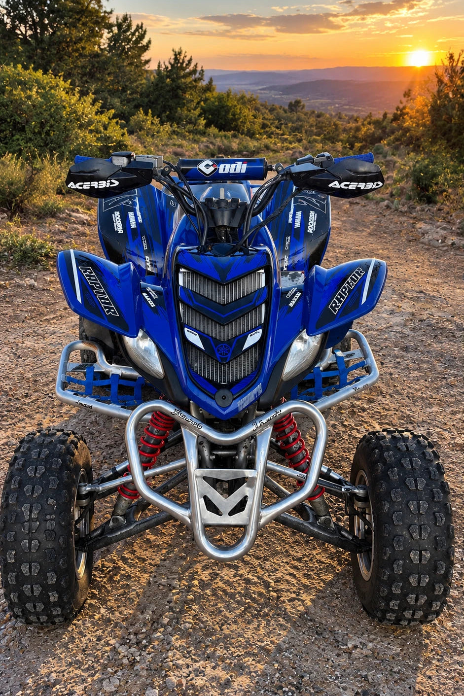 graphics kit Yamaha YFM 660 RAPTOR - SOLVYX