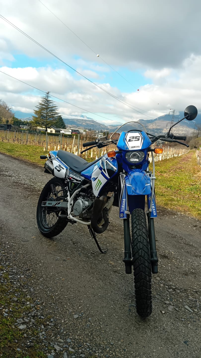 kit gráfico YAMAHA DT 50 ANTES 2002 - AZUL MONSTER