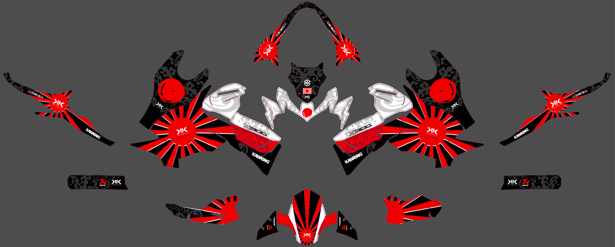 Graphics kit KAWASAKI Z900 2020-2024 - SOLVARA